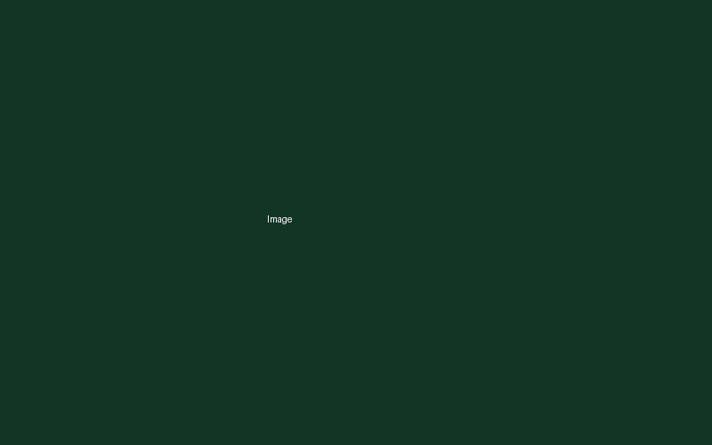 Commercial Plot
